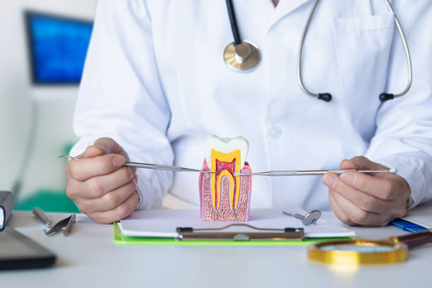 Best Knocked-Out Tooth Emergency  in Vandalia, IL